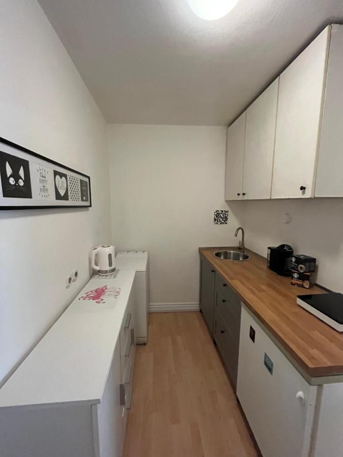 Apartment Flamingo Ljubljana Dış mekan fotoğraf